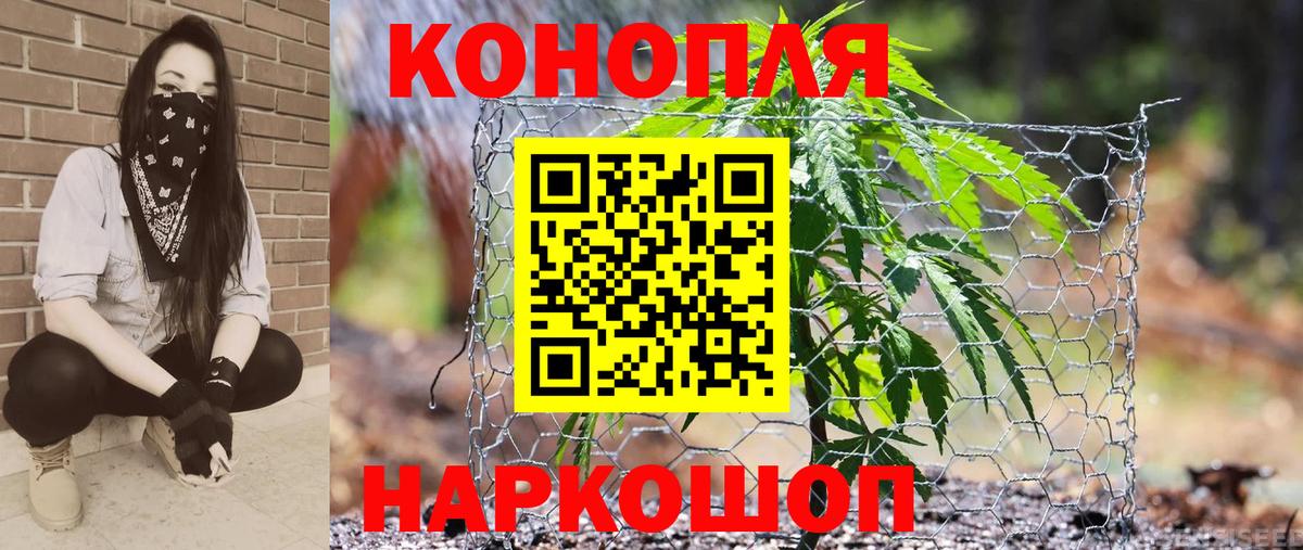 Майкоп  Шишки марихуана семена  Конопля THC 21%  МАРИХУАНА OG Kush  Вход с VPN  Бошки Шишки марихуана 